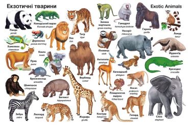 Перші слова. Тварини + англійска - фото 6