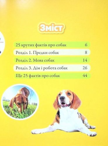 National Geographic Kids. Гав! 100 цікавих фактів про собак - фото 2