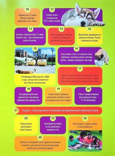 National Geographic Kids. Гав! 100 цікавих фактів про собак - фото 4