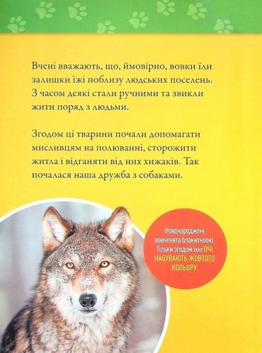 National Geographic Kids. Гав! 100 цікавих фактів про собак - фото 5