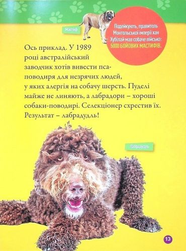 National Geographic Kids. Гав! 100 цікавих фактів про собак - фото 8