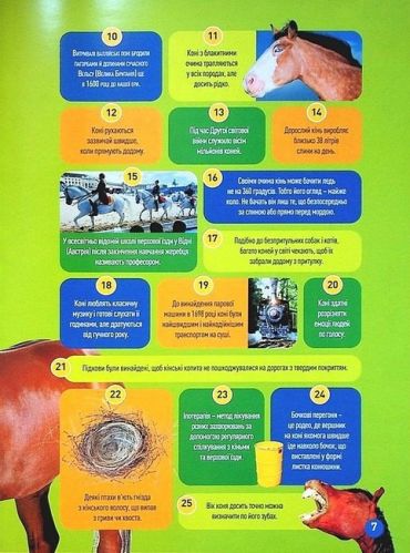 National Geographic Kids. Галопом! 100 цікавих фактів про коней - фото 4