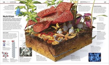 Knowledge Encyclopedia. Science! - фото 6
