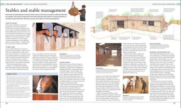 The Horse Encyclopedia - фото 6