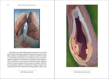 The British Surrealists - фото 8