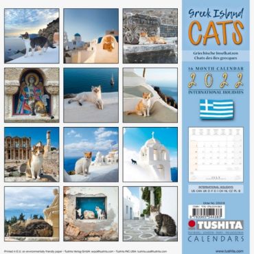 Greek Island Cats 2022 - фото 14