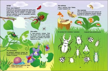 Пізнавальна книжка. Зелена книжка про комашок - фото 4