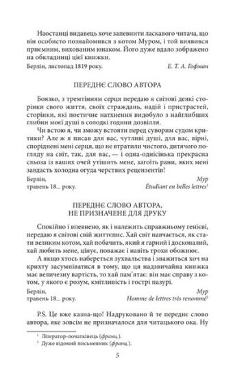 Життєва філософія кота Мура - фото 4