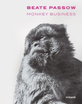 Beate Passow: Monkey Business - Історія мистецтва, мистецтвознавство