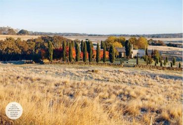 Garden Love: Plants • Dogs • Country Gardens - фото 7