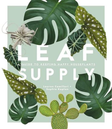 Leaf Supply: A guide to keeping happy house plants - фото 1