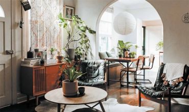 Leaf Supply: A guide to keeping happy house plants - фото 2