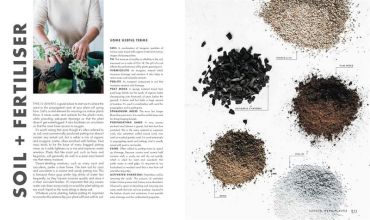 Leaf Supply: A guide to keeping happy house plants - фото 5