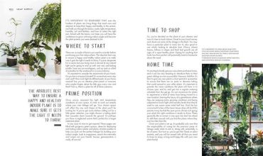 Leaf Supply: A guide to keeping happy house plants - фото 8