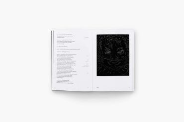 William Shakespeare ? Chris Ofili: Othello - фото 4