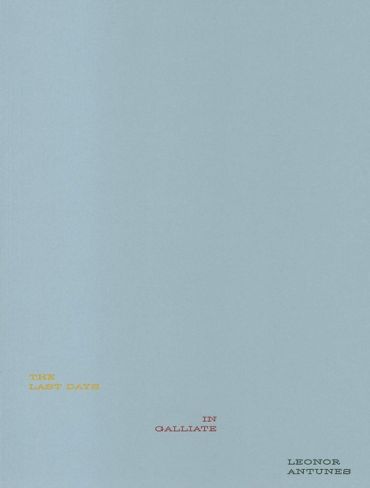 Leonor Antunes: The Last Days in Galliate - фото 1