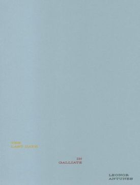 Leonor Antunes: The Last Days in Galliate - Образотворче мистецтво