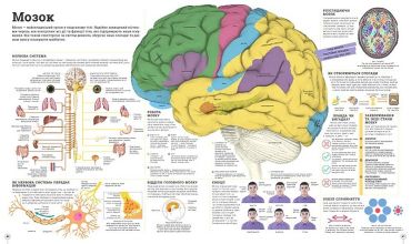 Дивипедія - фото 3