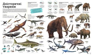 Дивипедія - фото 5