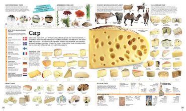 Дивипедія - фото 11