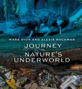 Mark Dion and Alexis Rockman. Journey to Natures Underworld - Образотворче мистецтво