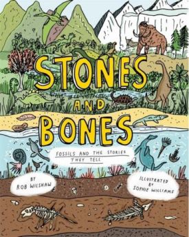 Stones and Bones. Fossils and the stories they tell - Книжки іноземними мовами