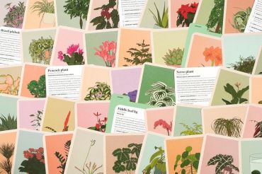 Houseplant Gardener in a Box - фото 5