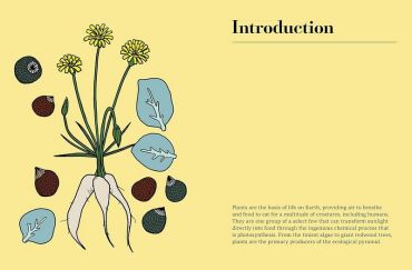 Edible. 70 Sustainable Plants That Are Changing How We Eat - фото 2