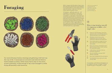 Edible. 70 Sustainable Plants That Are Changing How We Eat - фото 5