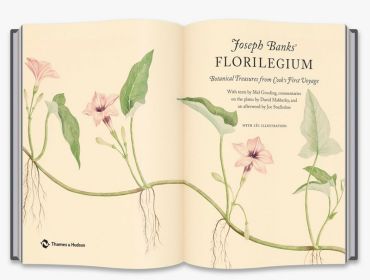 Joseph Banks Florilegium - фото 2