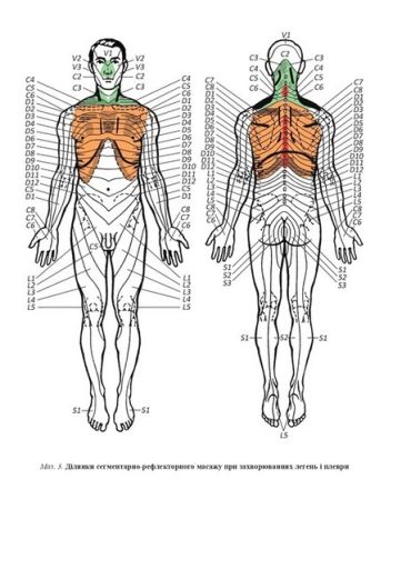 Лікувально-реабілітаційний масаж. Навчальний посібник - фото 5