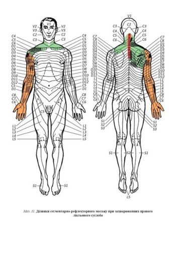 Лікувально-реабілітаційний масаж. Навчальний посібник - фото 6