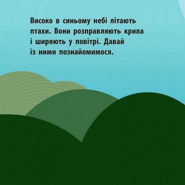 Познайомся з нами. Повітряний екіпаж - фото 2