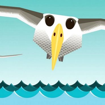 Познайомся з нами. Повітряний екіпаж - фото 5