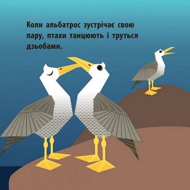 Познайомся з нами. Повітряний екіпаж - фото 6
