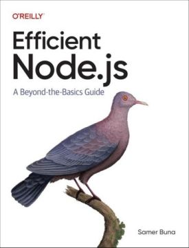 Efficient Node.js: A Beyond-the-Basics Guide 1st Edition - Комп'ютрена література