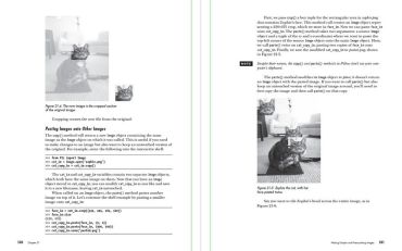 Automate the Boring Stuff with Python, 3rd Edition - фото 9