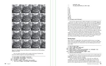 Automate the Boring Stuff with Python, 3rd Edition - фото 10