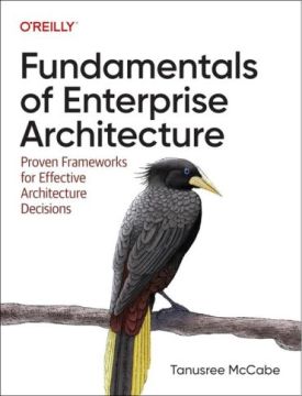 Fundamentals of Enterprise Architecture: Proven Frameworks for Effective Architecture Decisions 1st Edition - Комп'ютрена література