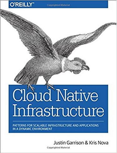 Cloud Native Infrastructure: Patterns for Scalable Infrastructure and Applications in a Dynamic Environment 1st Edition