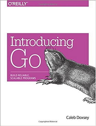Introducing Go: Build Reliable, Scalable Programs 1st Edition