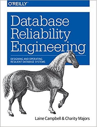 Database Reliability Engineering: Designing and Operating Resilient Database Systems 1st Edition