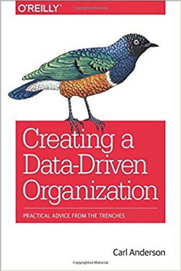 Creating a Data-Driven Organization: Practical Advice from the Trenches 1st Edition