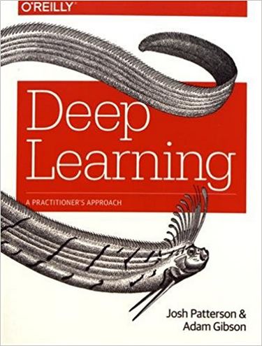 Deep Learning: A Practitioner's Approach 1st Edition