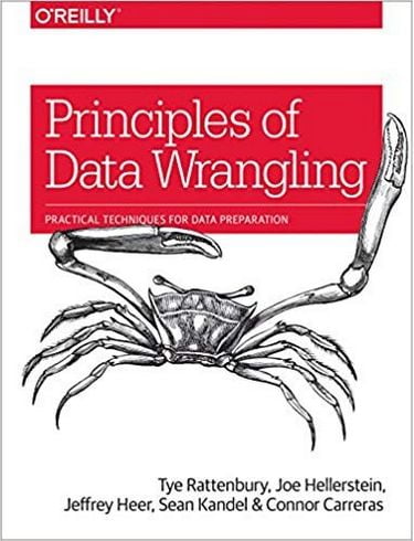 Principles of Data Wrangling: Practical Techniques for Data Preparation 1st Edition