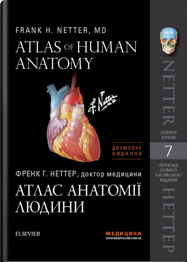 Атлас анатомии человека. 7-е видання. Френк Р. Неттер (двомовне)