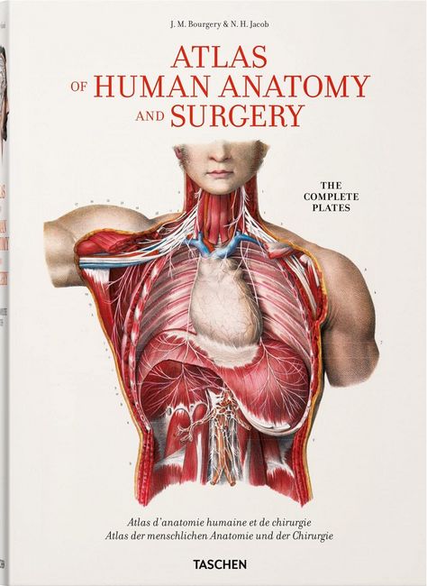 Bourgery. Atlas of Human Anatomy and Surgery (Multilingual Edition)