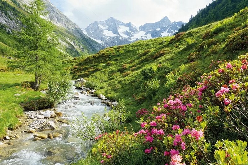 Alps - Nature and Mountains (Постер)