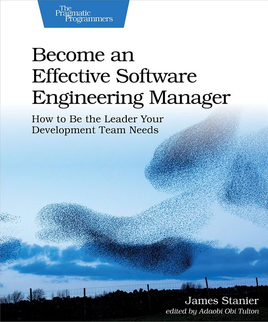 Become an Effective Software Engineering Manager: How to Be the Leader Your Development Team Needs 1st Edition