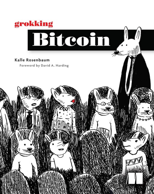Grokking Bitcoin First Edition